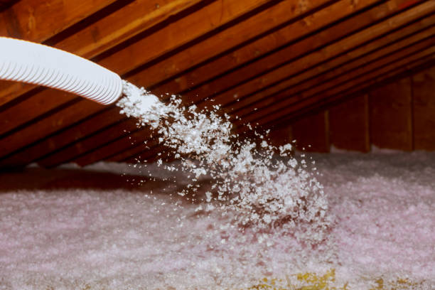 Best Geographic-Specific Insulation Services in Ilion, NY
