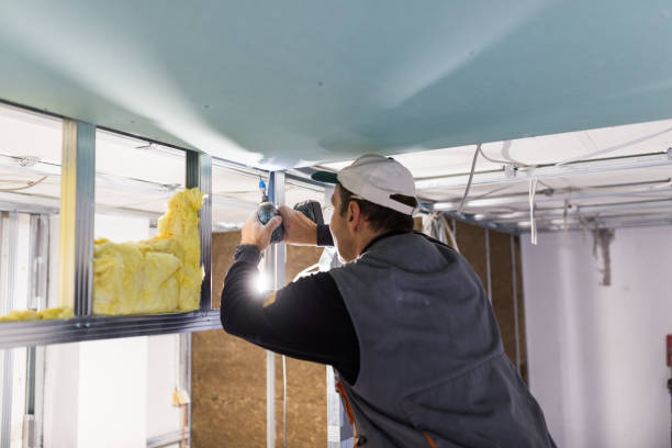 Best Eco-Friendly Insulation in Ilion, NY