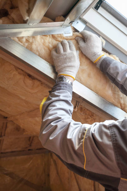 Best Specialized Insulation Services in Ilion, NY