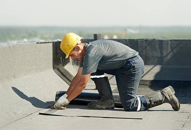 Best Insulation Maintenance and Repair in Ilion, NY