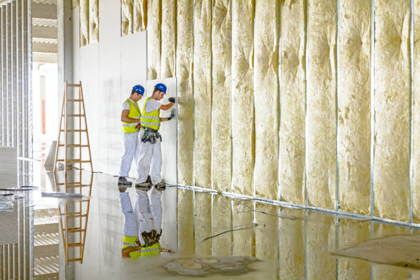 Best Fiberglass Insulation in Ilion, NY